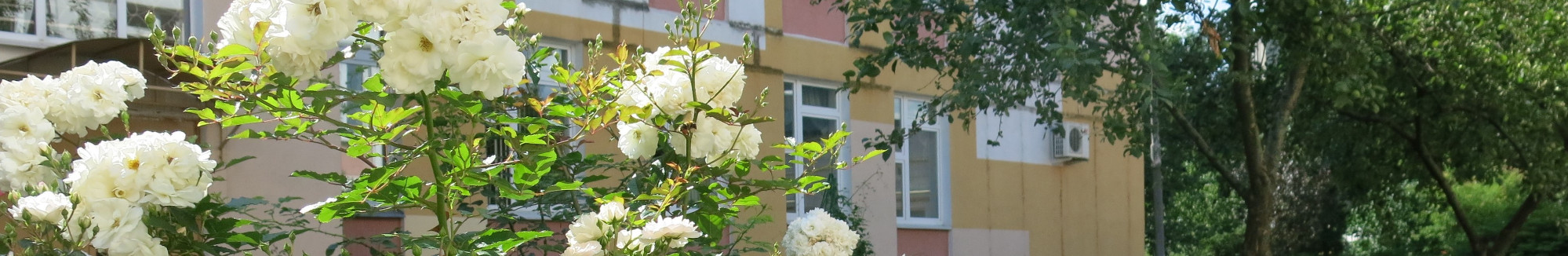 Фото колледжа