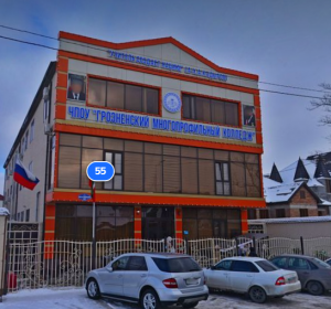 Грозненский многопрофильный колледж